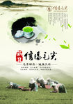 茶叶海报设计