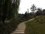 小区风景