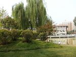 小区风景
