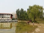 小区风景
