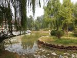 小区环境