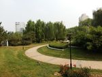 小区环境