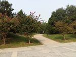 小区风景