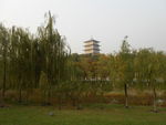 公园风景