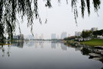 公园风景