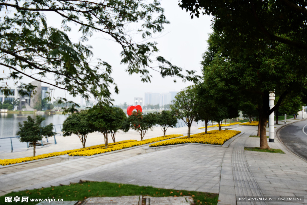 公园风景