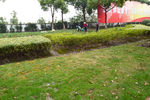 公园 公园风景 草坪