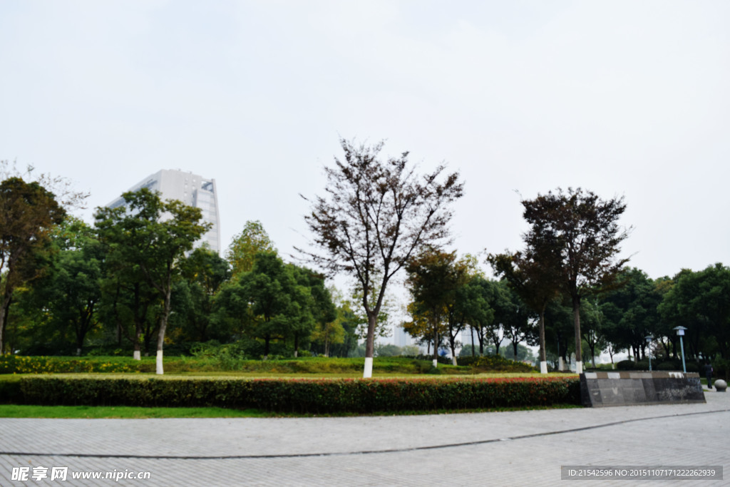 公园风景