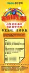 招生易拉宝