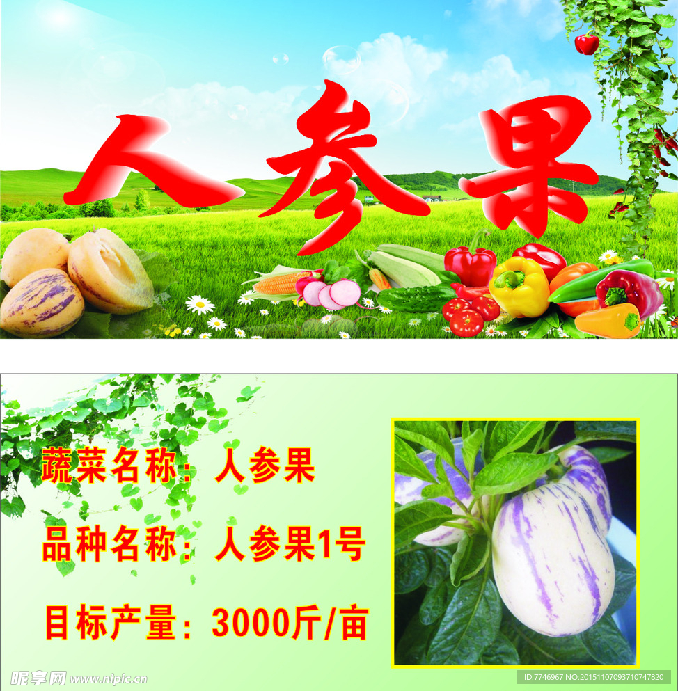 人参果标牌