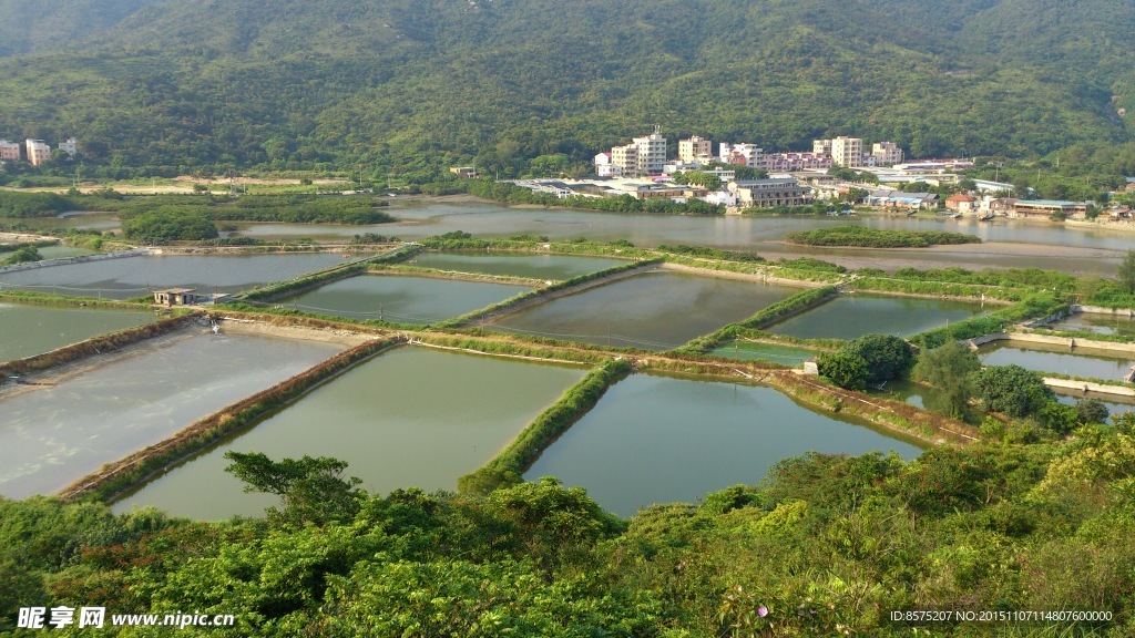 深圳东涌