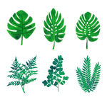 绿色植物叶子矢量素材