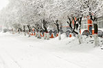 雪乡