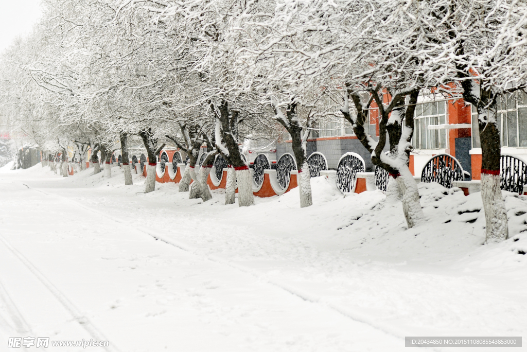 雪乡