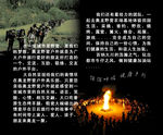 名片设计 卡片 模板