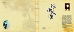 封面设计风雨人生