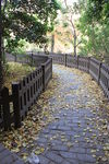 小路 石头路