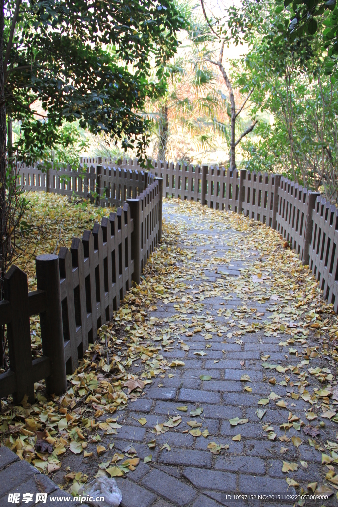 小路 石头路
