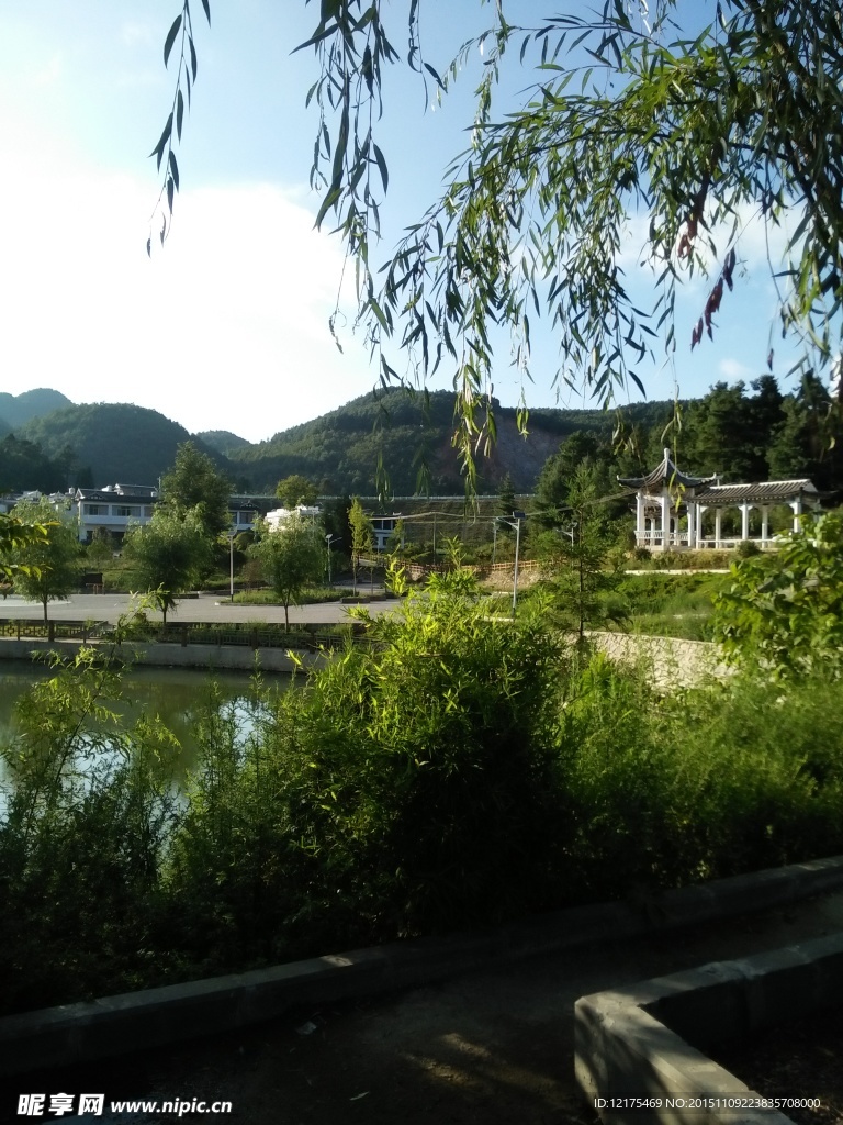 池塘美景图
