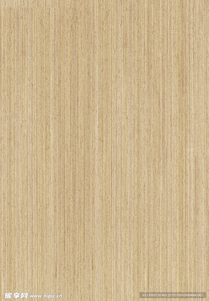 白杨木