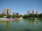 城市湖景