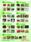 菜谱