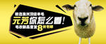 banner 活动
