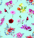 月季花