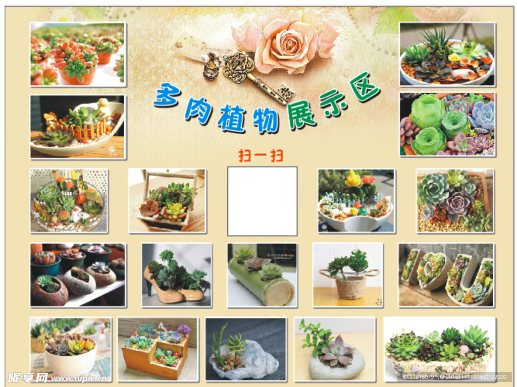 多肉植物