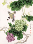 硕果图
