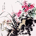 静物鲜花