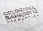 Logo展示效果图模板