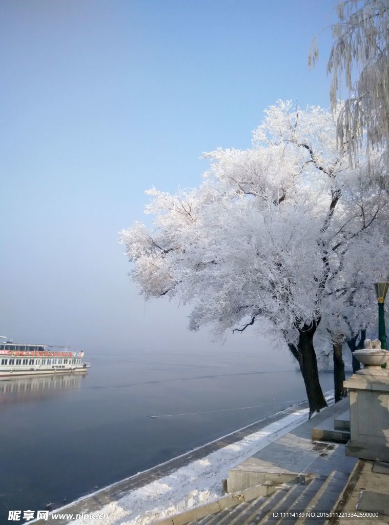 哈尔滨松花江畔雾凇美景