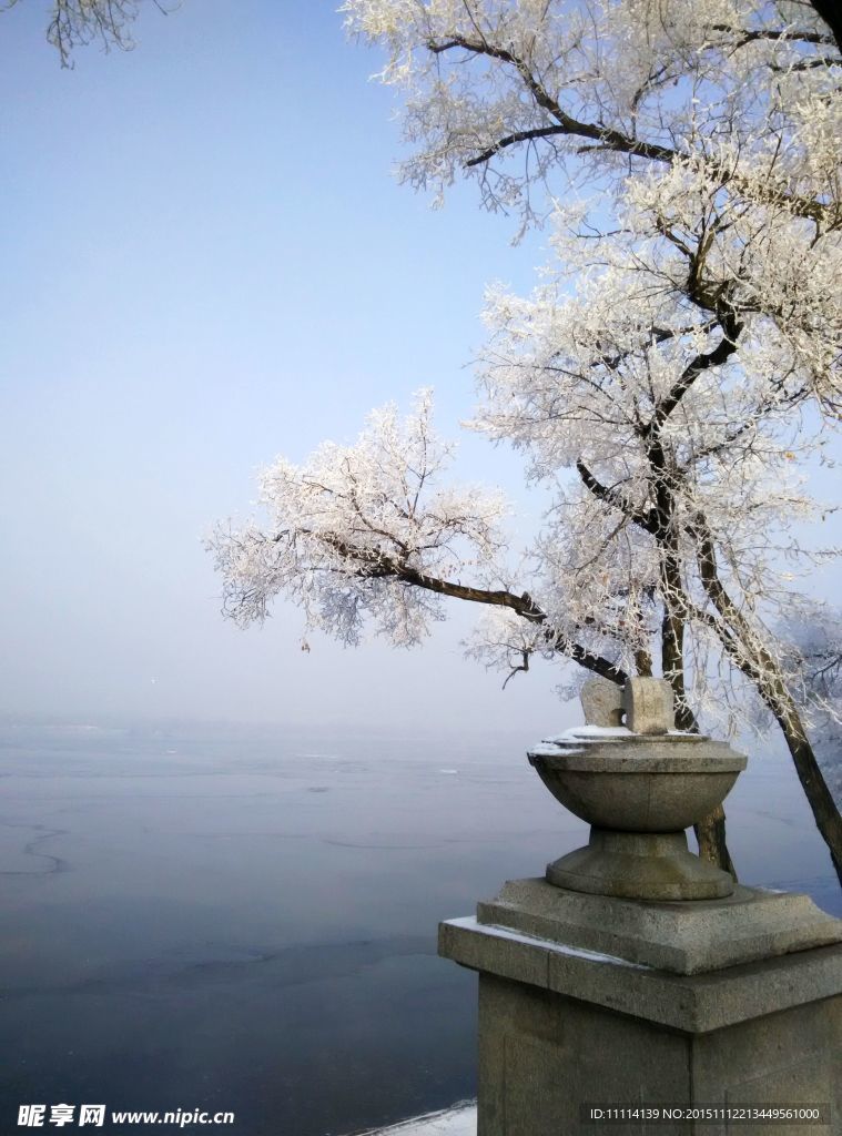 哈尔滨松花江畔雾凇景象