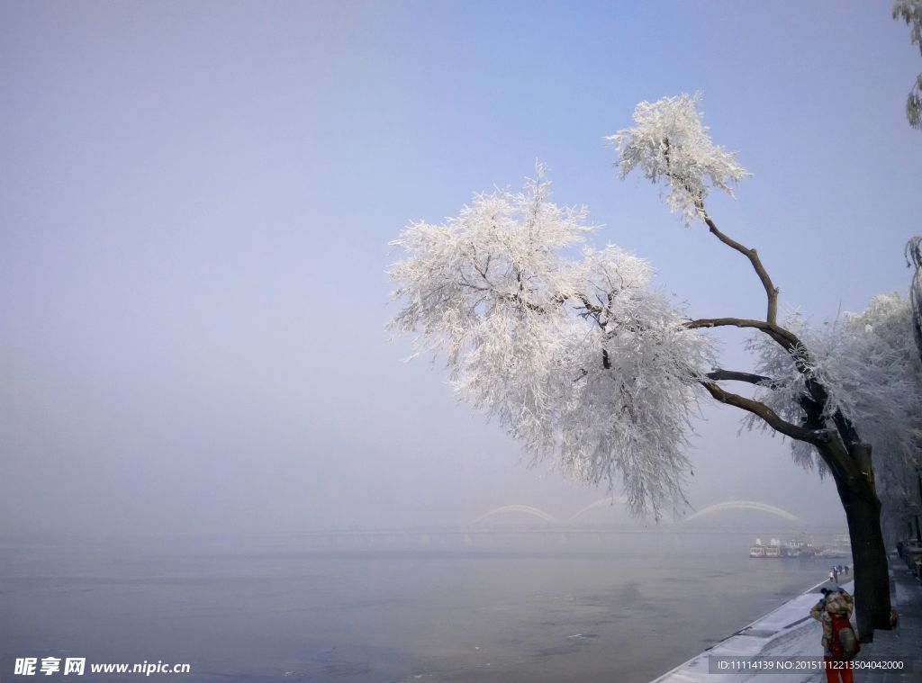 哈尔滨松花江畔雾凇风景