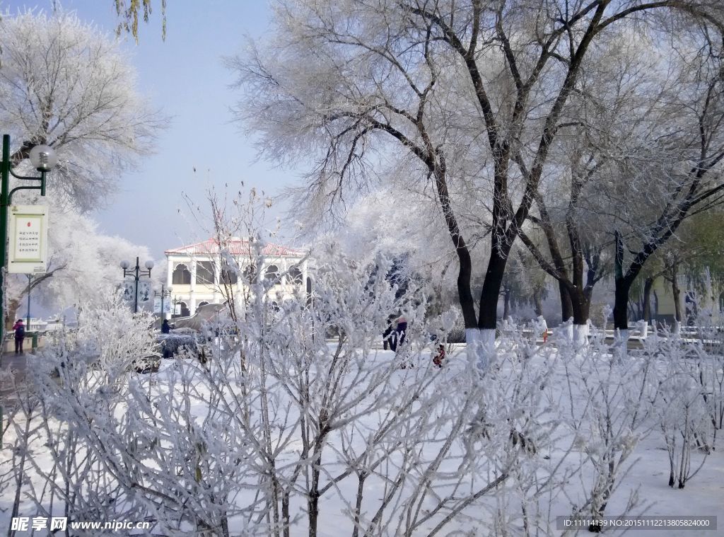 哈尔滨松花江畔雾凇风景