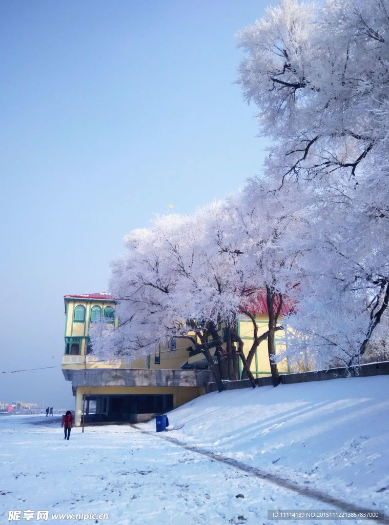 哈尔滨松花江畔雾凇美景