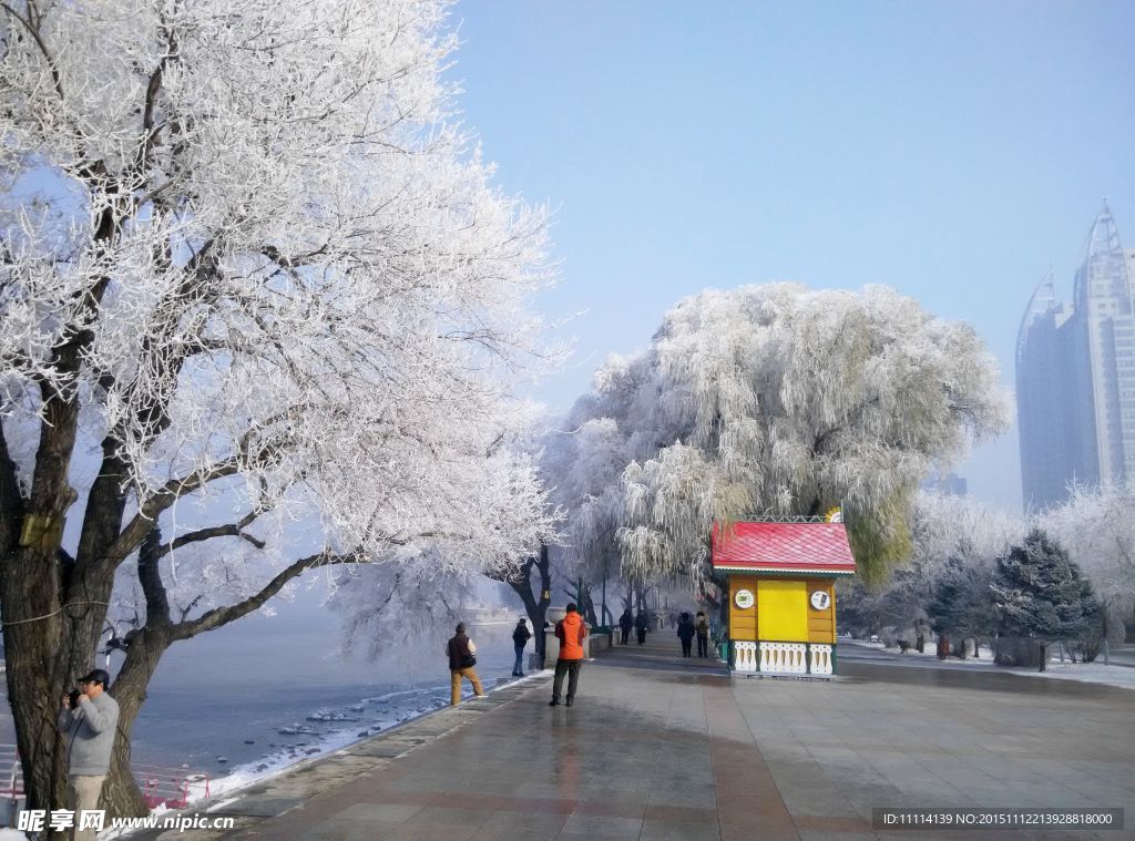 哈尔滨松花江畔雾凇风景