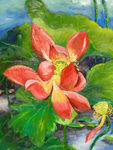花卉油画图片