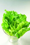 生菜