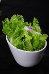 生菜