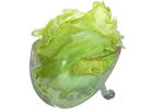 圆生菜