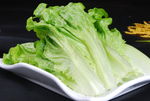 生菜