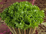 生菜