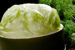 生菜