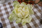 西生菜