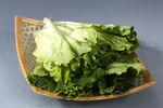 蚝油生菜