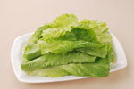 蚝油生菜