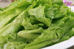 生菜