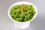 生菜